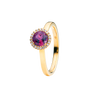 garnet royal purple